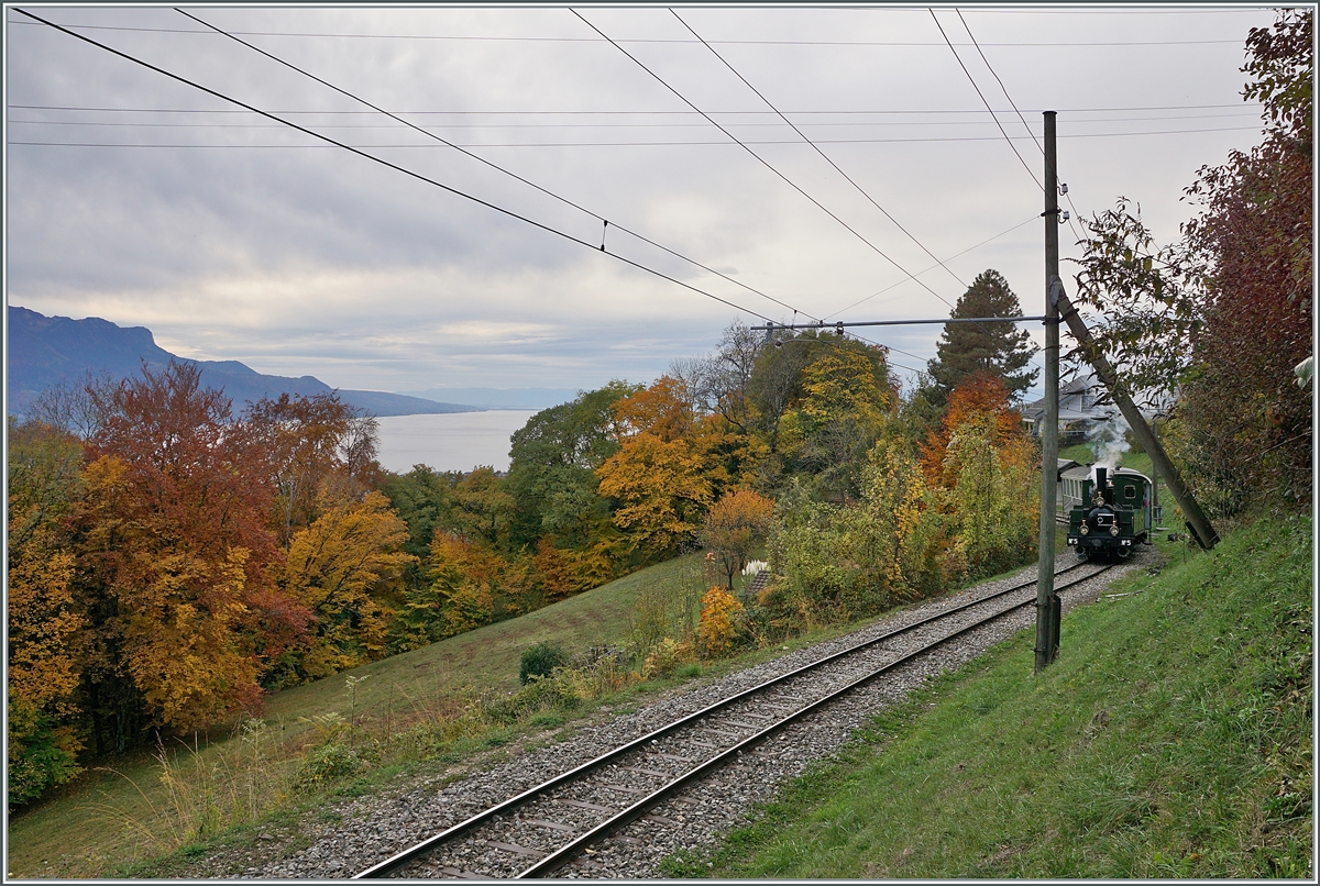  LA DER 2020 du Blonay-Chamby  / Saison Abschluss der Blonay-Chamby Bahn: Mit einem verstärkten Fahrplan und viel Dampf wird vor dem  Winterschlaf  (bzw. Arbeit im Dépôt Chaulin) nochmals viel Betrieb gemacht. Die LEB G 3/3 N° 5 (Baujahr 1890) dampft mit ihrem Personenzug bei der Haltstelle Chantemerle vorbei, die bunten Herbstfarben langsam vom Sonnenlicht verlassen werden.

25. Okt. 2020