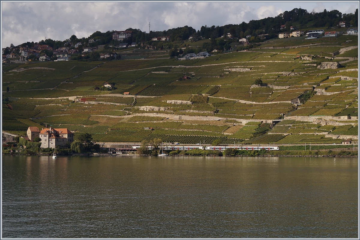 Lavaux, bei Rivaz mit zwei Flirt RABe 523 auf dem Weg in Richtung Villeneuve. 

1. Okt. 2019