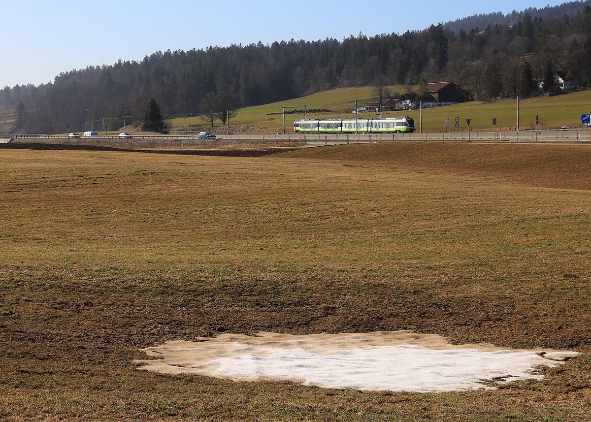 Le Crêt-du-Locle: SBB Flirt 523 075 in TransN-Farben in typischer Jura-Hochplateaulandschaft mit seinen Mulden, wo noch Schnee liegt. 25.Februar 2021