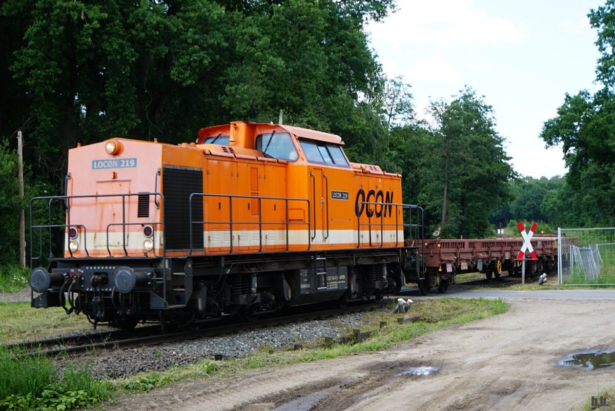 locon 219/203 164-9 fuhr mit einen leeren schotterzug von glinde,15.06.20