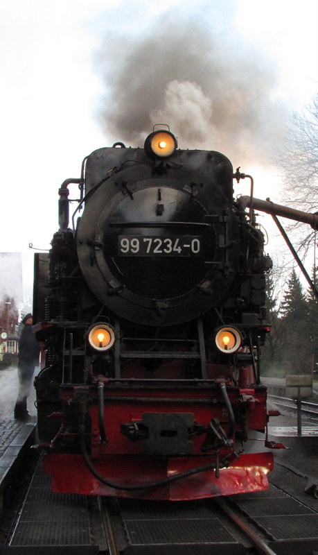 Lok Portrait von 99 7234-0.