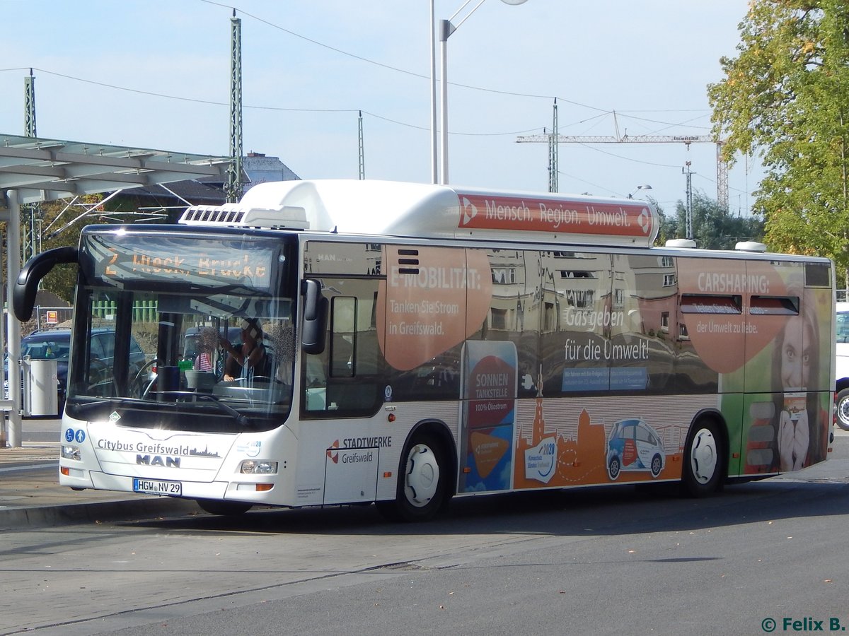 MAN Lion's City CNG der Stadtwerke Greifswald in Greifswald.