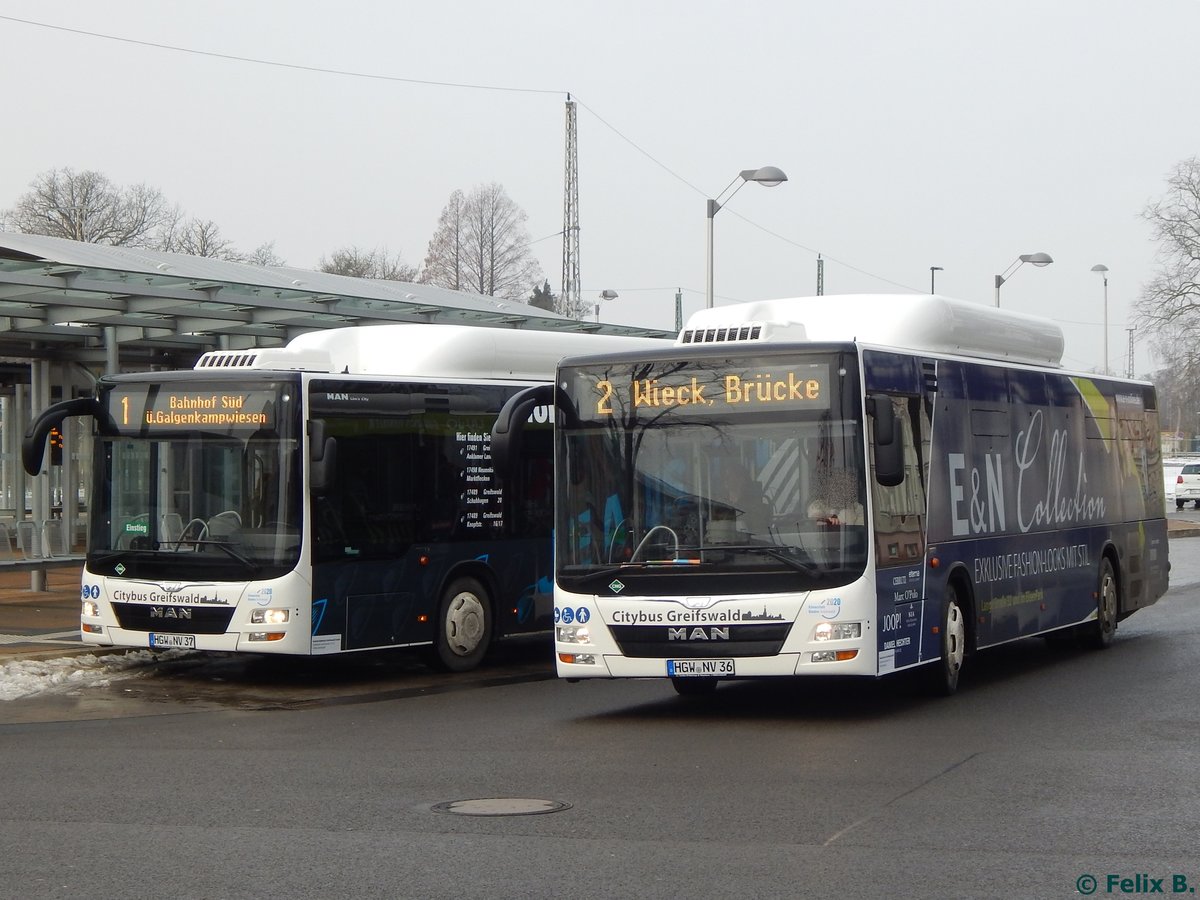 MAN Lion's City CNG der Stadtwerke Greifswald in Greifswald.