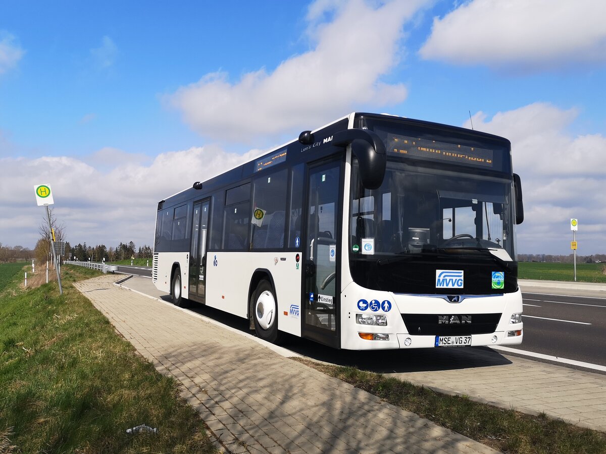 MAN Lion's City LE Ü der MVVG in Ave.