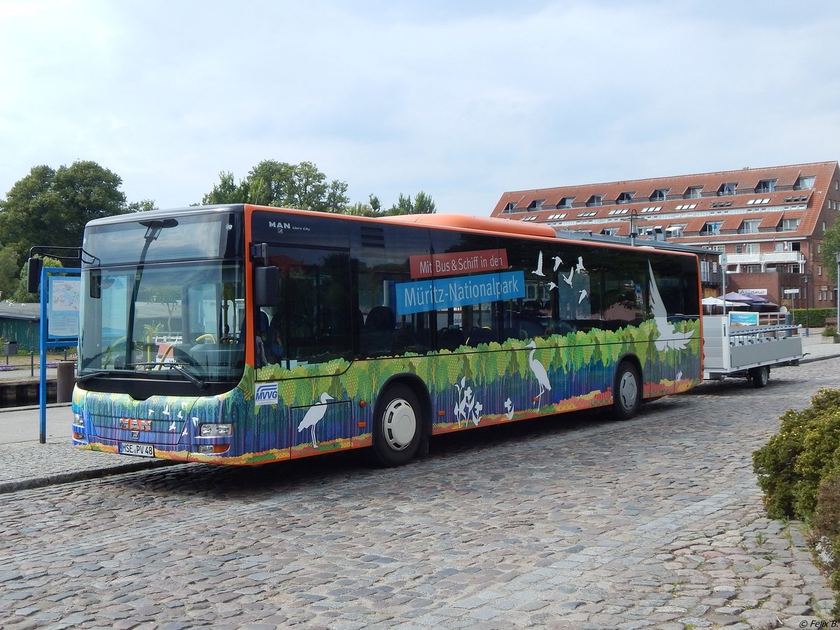 MAN Lion's City mit Anh�nger der MVVG in Waren.