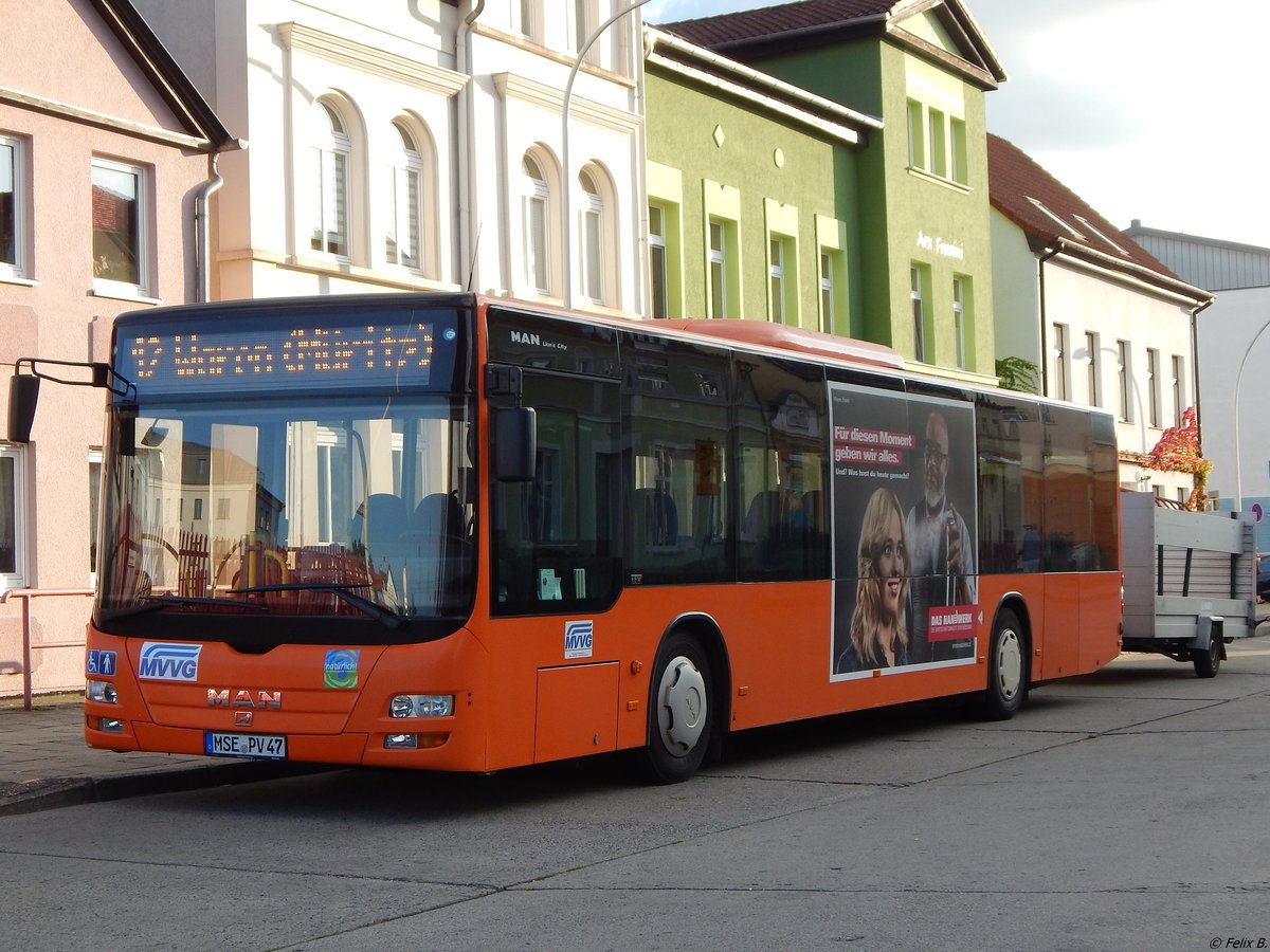 MAN Lion's City der MVVG in Neubrandenburg.