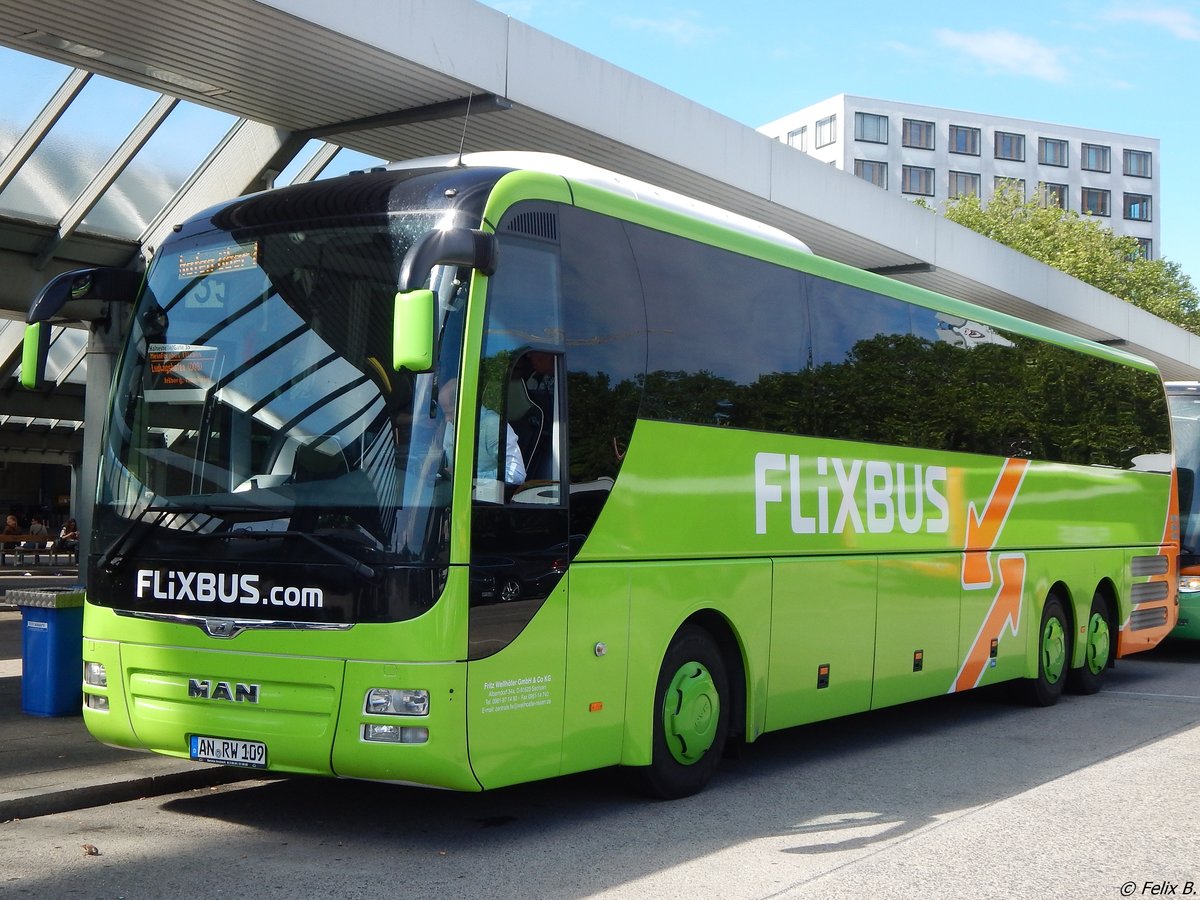 MAN Lion's Coach von Flixbus/Fritz Wellhöfer aus Deutschland in Berlin.