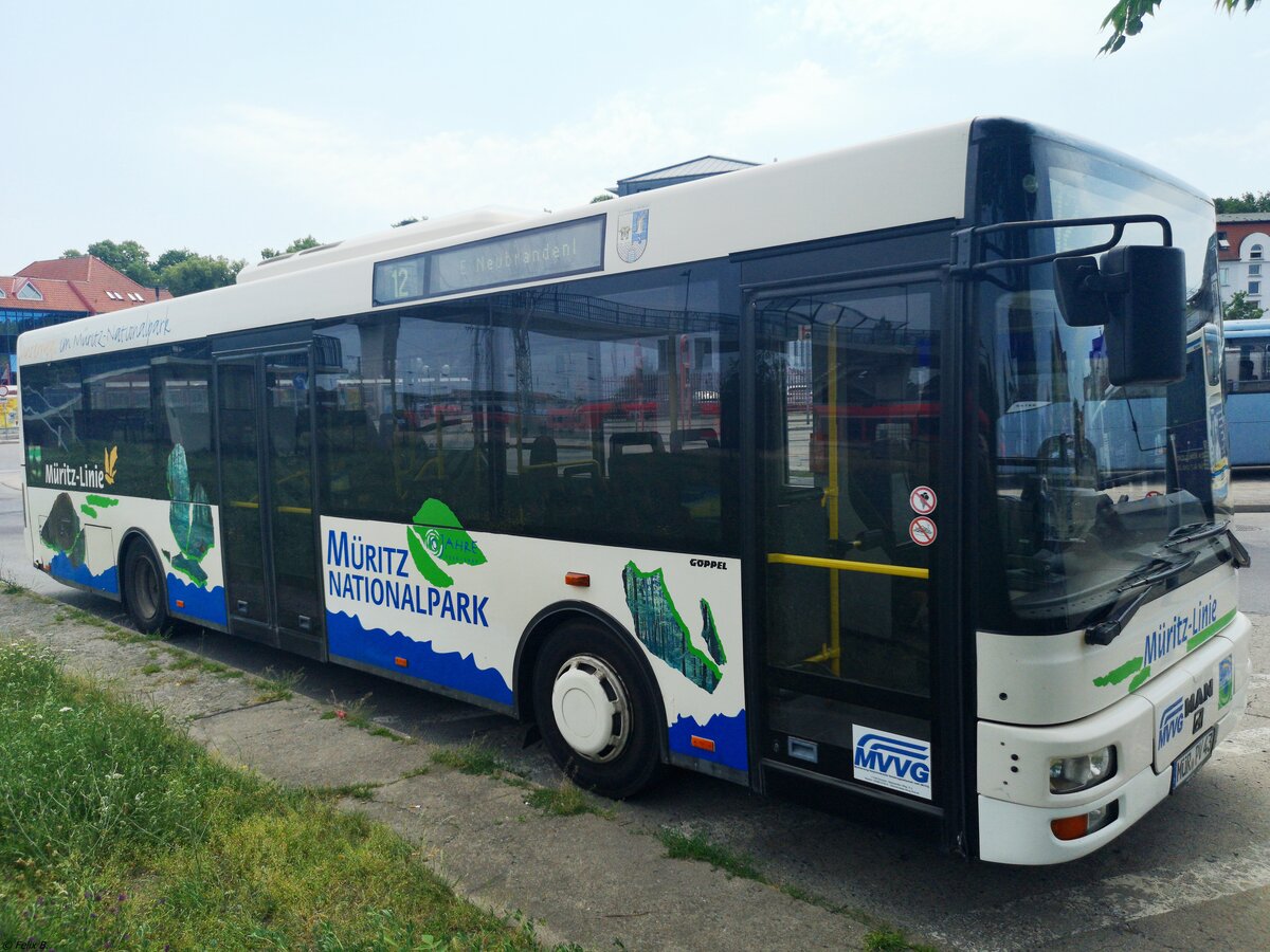 MAN Niederflurbus 2. Generation/Göppel der MVVG in Neubrandenburg. 