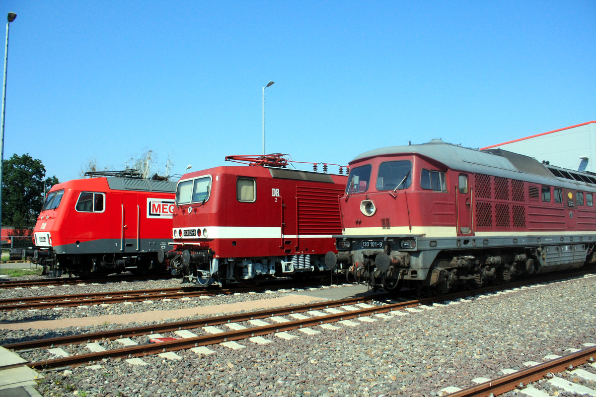 MEG 156 XXX, 243 005 und 130 101 beim Tag der offenen T�r in Dessau am 31.8.19