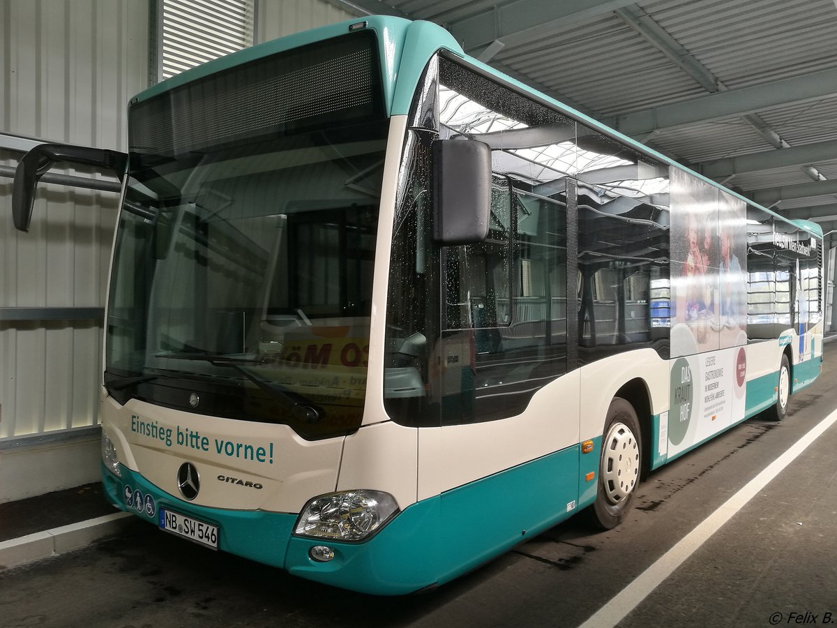 Mercedes Citaro III der Neubrandenburger Verkehrsbetriebe in Neubrandenburg.