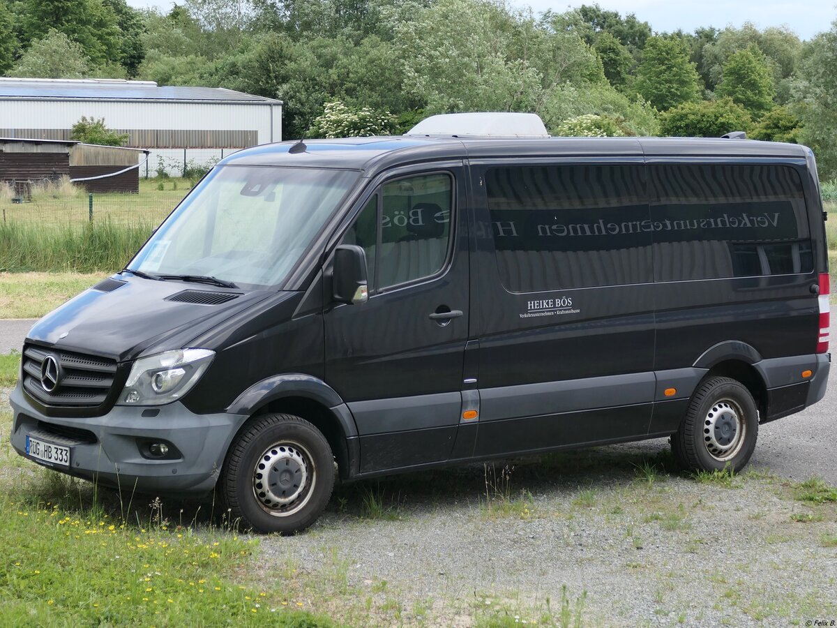 Mercedes Sprinter von Heike Bös aus Deutschland in Stralsund.