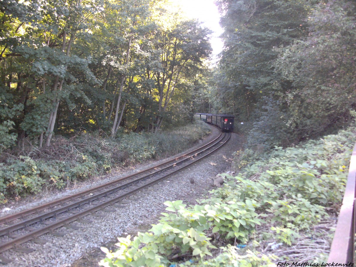 Mit Personenwagebn Voraus kam R�BB 99 4011 aus Lauterbach Mole wieder nach Putbus zur�ck bei der Einfahrt in Putbus am 30.9.13