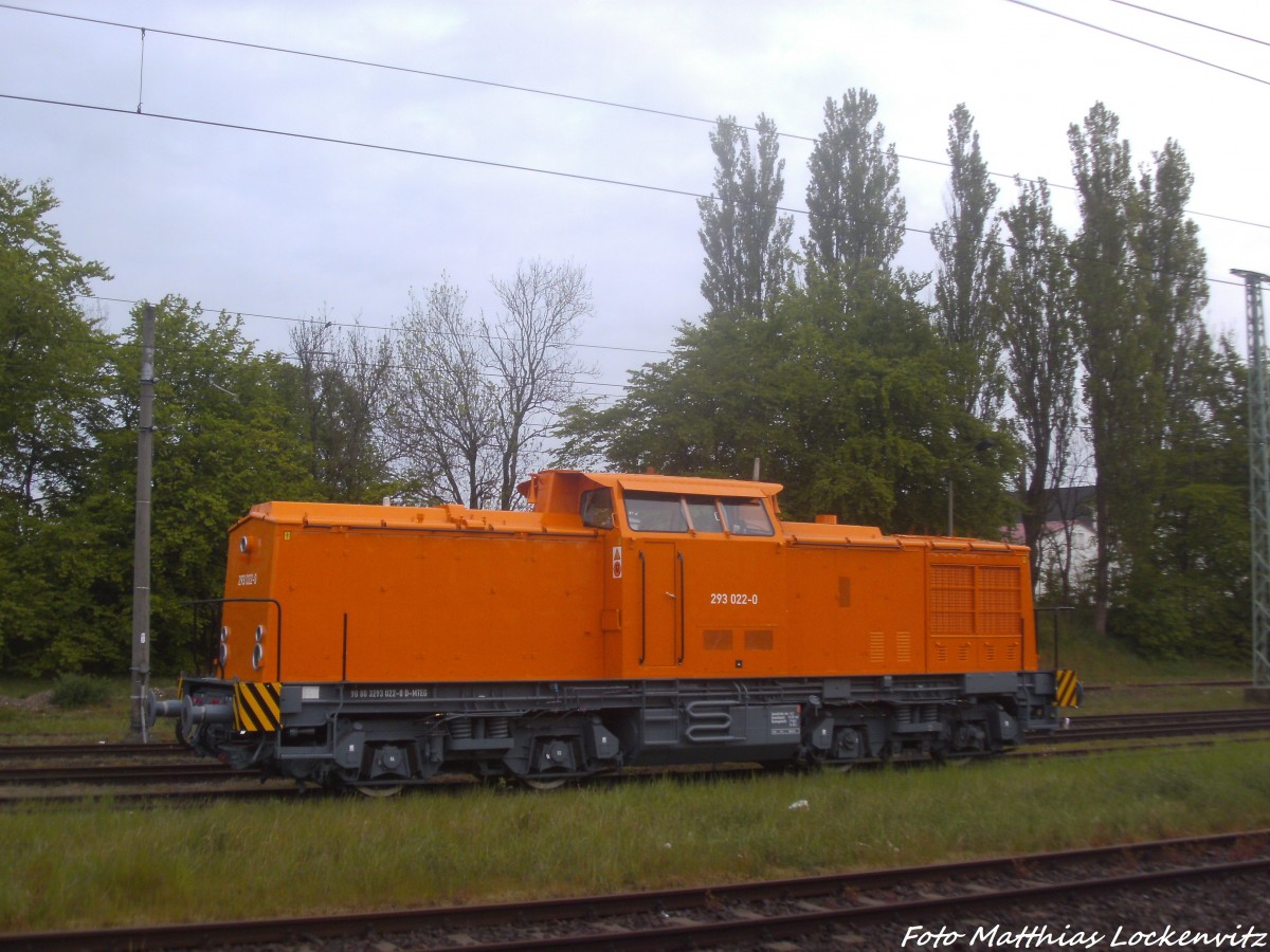 MTEG 293 022-0 abgestellt im Bahnhof Bergen auf R�gen am 9.5.14