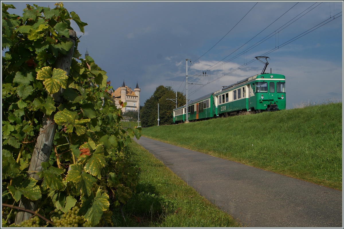 Nicht ganz scharf, aber dafür zuckersüss zeigen sich Trauben an den Reben der  La Côte , im Hintergrund ist der Be 4/4 N° mit seinem Regionalzug 128 von Morges nach Bière vor der angedeuteten Kulisse des Château de Vufflens zu sehen. 
8. Sept. 2014