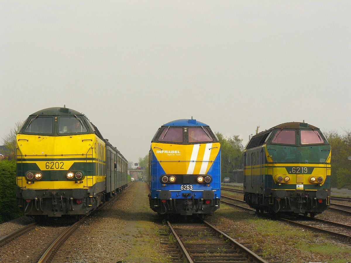 NMBS Diesellok 6202, 6219 und 6253. Sonderfahrt Museumsverein PFT/TSP. Zelzate, Belgien 05-04-2014. 

NMBS diesellocomotieven 6202, 6219 en 6253 tijdens rondrit van de TSP  Hulde aan de reeks 62 . Zelzate 05-04-2014. 