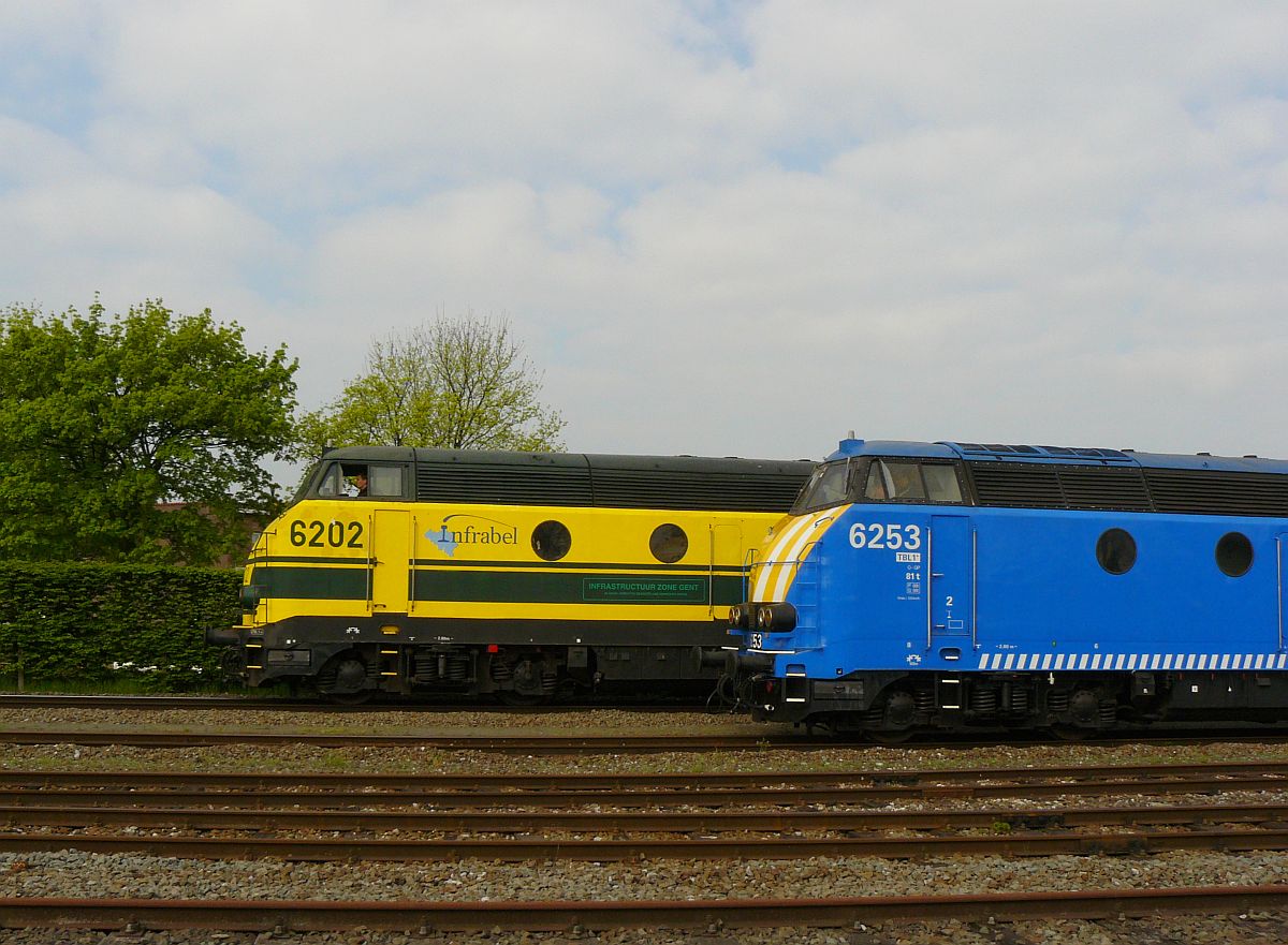 NMBS Infrabel Diesellok 6202 und 6253. Sonderfahrt Museumsverein PFT/TSP. Zelzate, Belgien 05-04-2014.

NMBS Infrabel diesellocomotieven 6202 en 6253 tijdens rondrit van de TSP  Hulde aan de reeks 62 . Zelzate 05-04-2014.