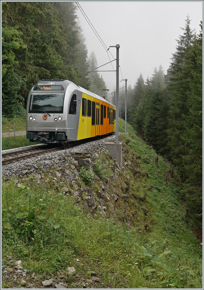 Nun sind die BLM Be 4/6 im Planbetrieb zu sehen. Zur Zeit fahren sie mit den aktuellen Triebwagen Be 4/4 21, 23 und 31 im Mischbetrieb, was fototechnisch gar nicht so einfach zu zeigen ist. Der BLM Be 4/6 102  Mönch  ist als R66 3747 von der Grütschalp nach Mürren im nebligen Wald schon fast am Ziel seiner Fahrt. 

23. Juli 2024