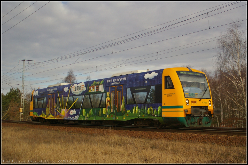 ODEG VT 650.65 / 650 065  Wald-Solar-Heim Express  als RB36 Frankfurt (Oder) am 06.02.2014 in der Berliner Wuhlheide