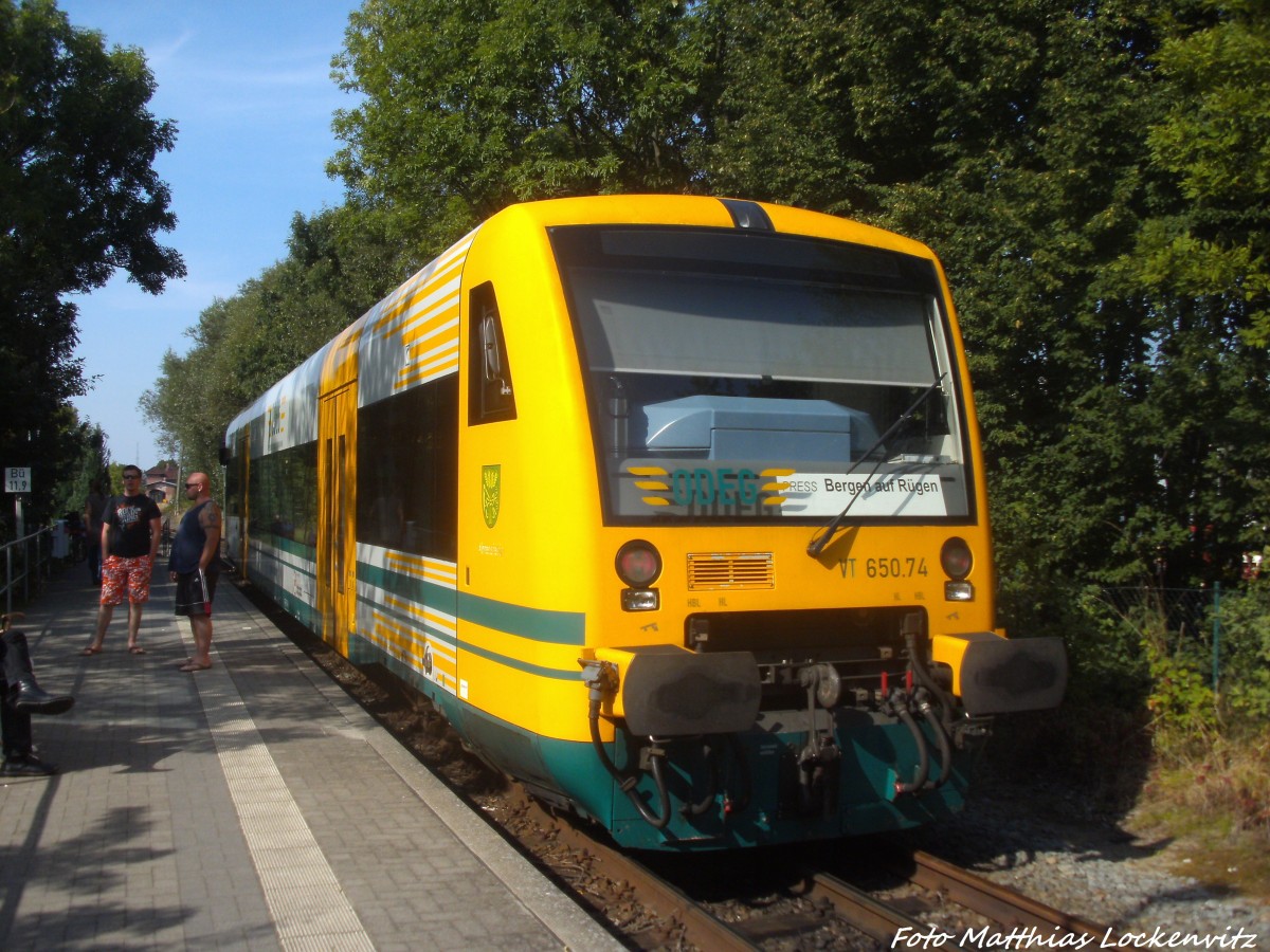 ODEG VT 650.74 im Auftrag der PRESS mit ziel Bergen auf R�gen im Bahnhof Lauterbach Mole am 5.9.14