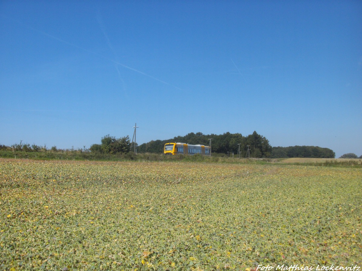 ODEG VT 650.74 im Auftrag der PRESS unterwegs nach Bergen auf R�gen am 6.9.14