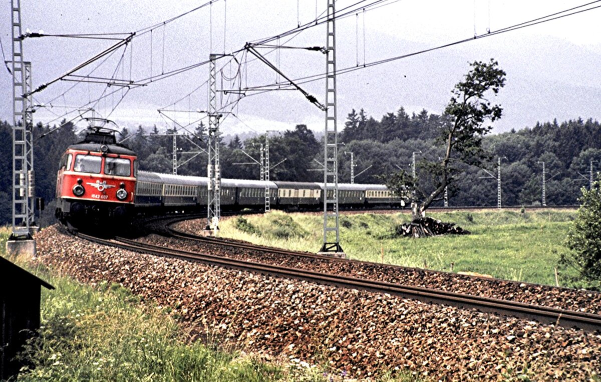 ÖBB 1042.607 am Chiemsee mit D-Zug (viele Kurswagen?) am 20.06.1981.