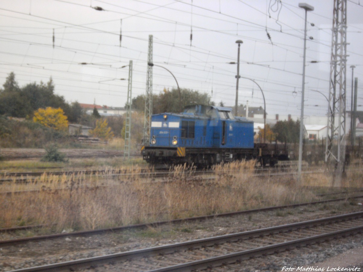 PRESS 204 031 im Bahnhof Bergen auf R�gen am 8.10.13