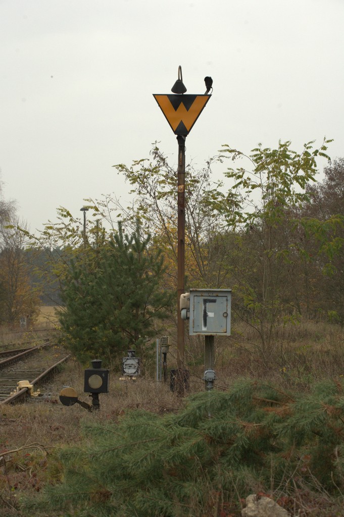 Ra 11 in Pretzsch. 17.11.2014 11:54 Uhr. 