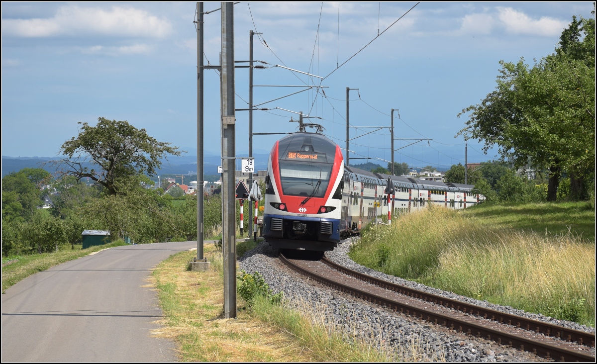 RABe 511 049 als S 15 nach Rapperswil. Sünikon Juni 2019.