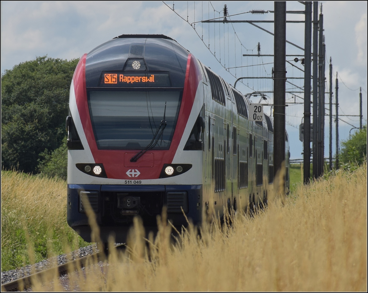 RABe 511 049 als S 15 nach Rapperswil. Sünikon Juni 2019.