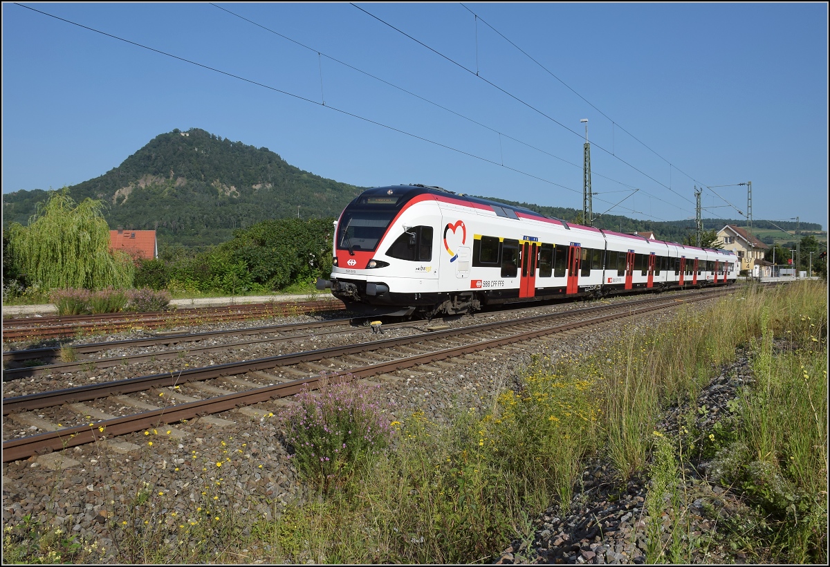 Rheintalumleiter im Hegau.

Nur ein bisschen im Hegau zuhause ist der Basler Flirt mit dem Herzchen. Manche nennen ihn auch den Wiesentäler, weil diese Züge extra für das Wiesental mit Deutschlandpaket beschafft wurden. Nach dem Refit bekamen sie ein Herz mit den jeweiligen Landesfarben als Werbung für die Triregio Basel. Derzeit weilt RABe 521 010 als Aushilfe an Bodensee, Seerhein und Hegau.
 
Welschingen, August 2021.