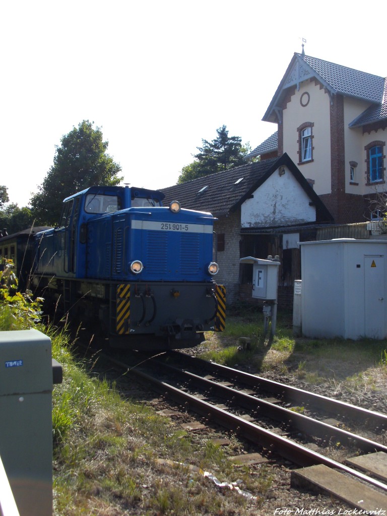R�BB 251 901 aus Lauterbach Mole bei der Einfahrt in Putbus am 27.8.13