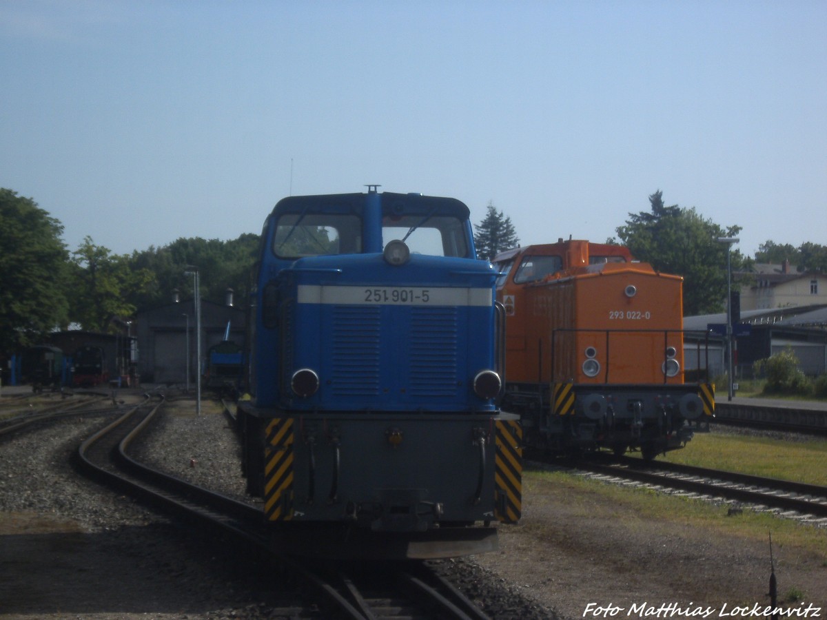 R�BB 251 901 und MTEG 293 022-0 im Bahnhof Putbus am 10.6.14