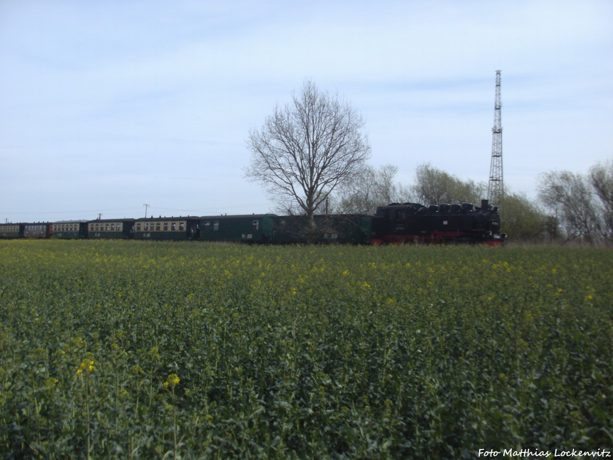 R�BB 99 1781 kurz vor Putbus am 17.4.14