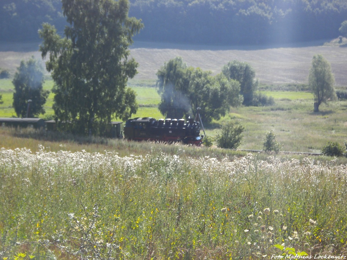 R�BB 99 1781 zwischen Serasms & Seelvitz am 27.8.13