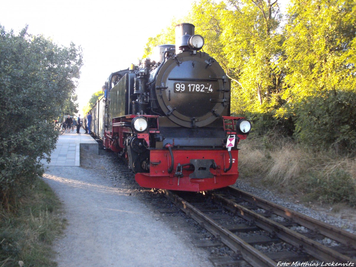 R�BB 99 1782 kurz vor der Abfahrt nach Putbus im Bahnhof Lauterbach Mole am 23.8.13