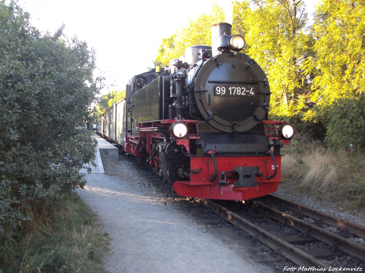 R�BB 99 1782 ist soeben aus Putbus im Endbahnhof Lauterbach Mole angekommen am 23.8.13