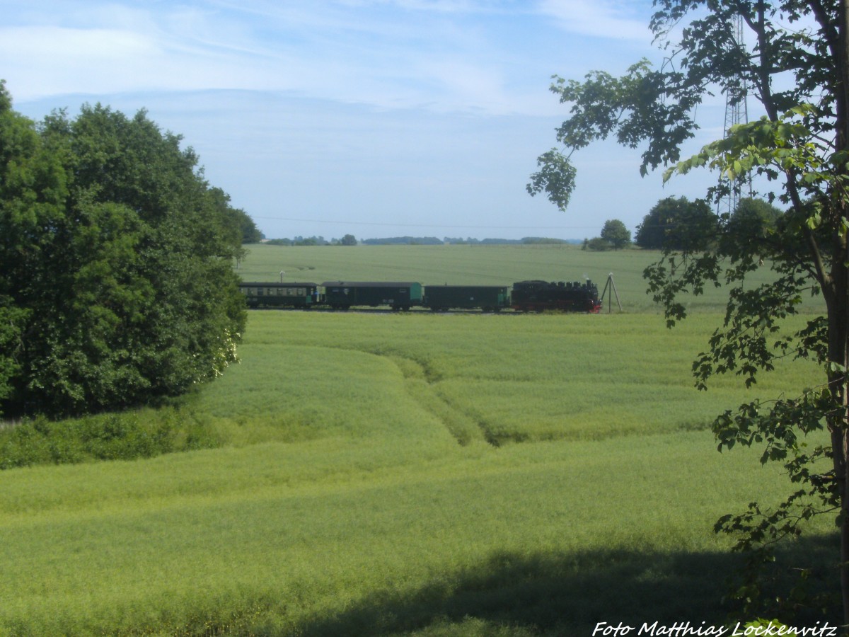 R�BB 99 1784 kurz vor Putbus am 9.6.14