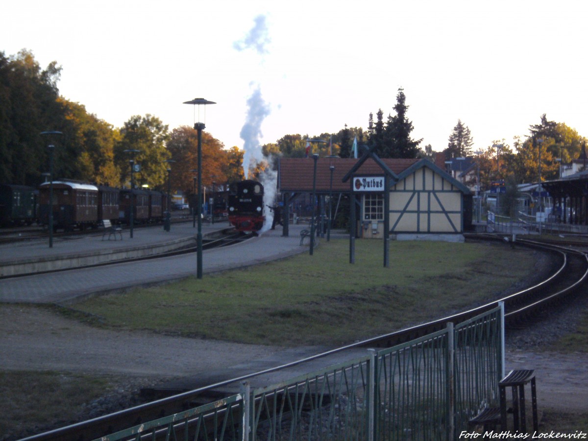 R�BB 99 4011 im Bahnhof Putbus am 2.10.13