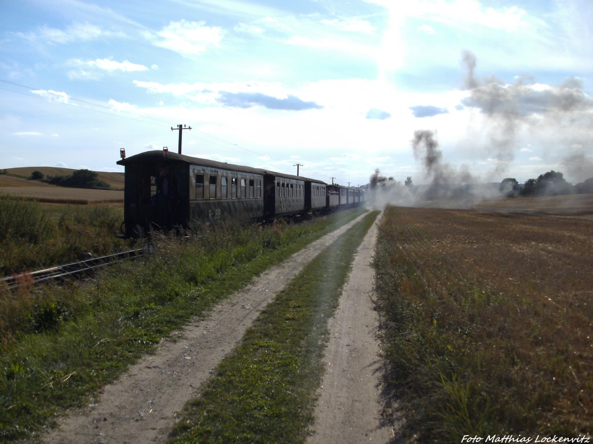 R�BB 99 4011 mit dem P108 kurz hinter dem Hp. Seelvitz in Richtung Lauterbach Mole unterwegs am 15.8.13