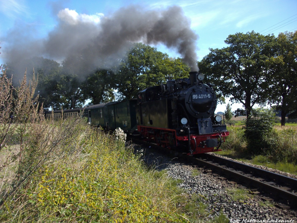 R�BB 99 4011 unterwegs nach Putbus kurz vorm Hp. Beuchow am 27.8.13