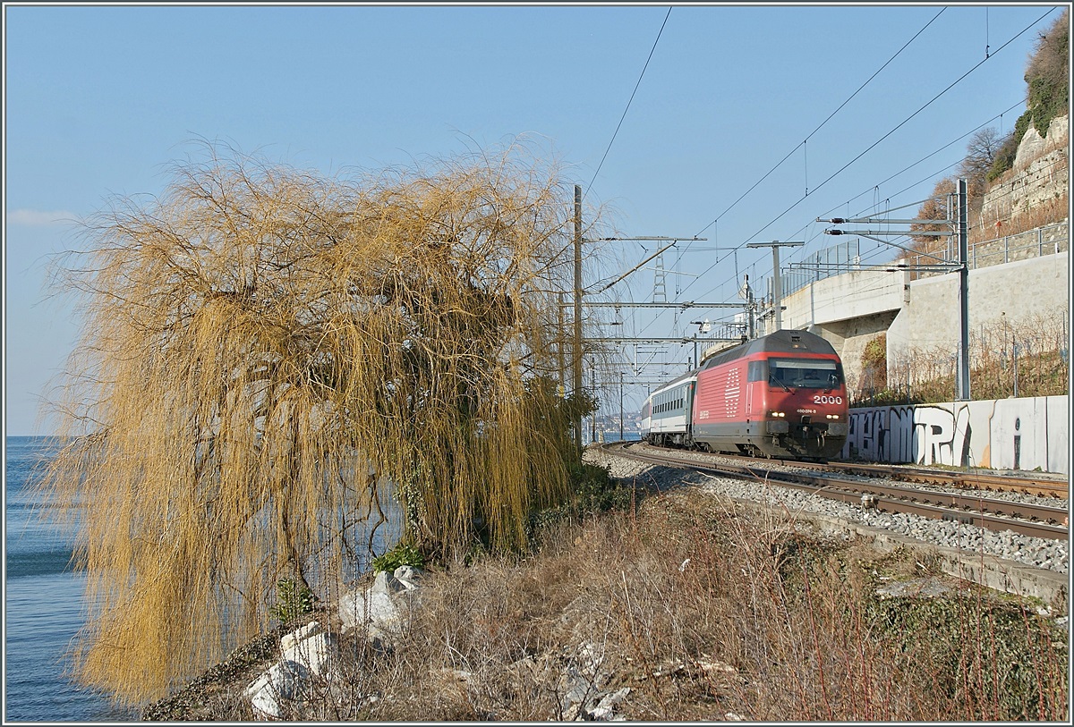 SBB Re 460  mit einem IR bei Rivaz.
22.01.2011