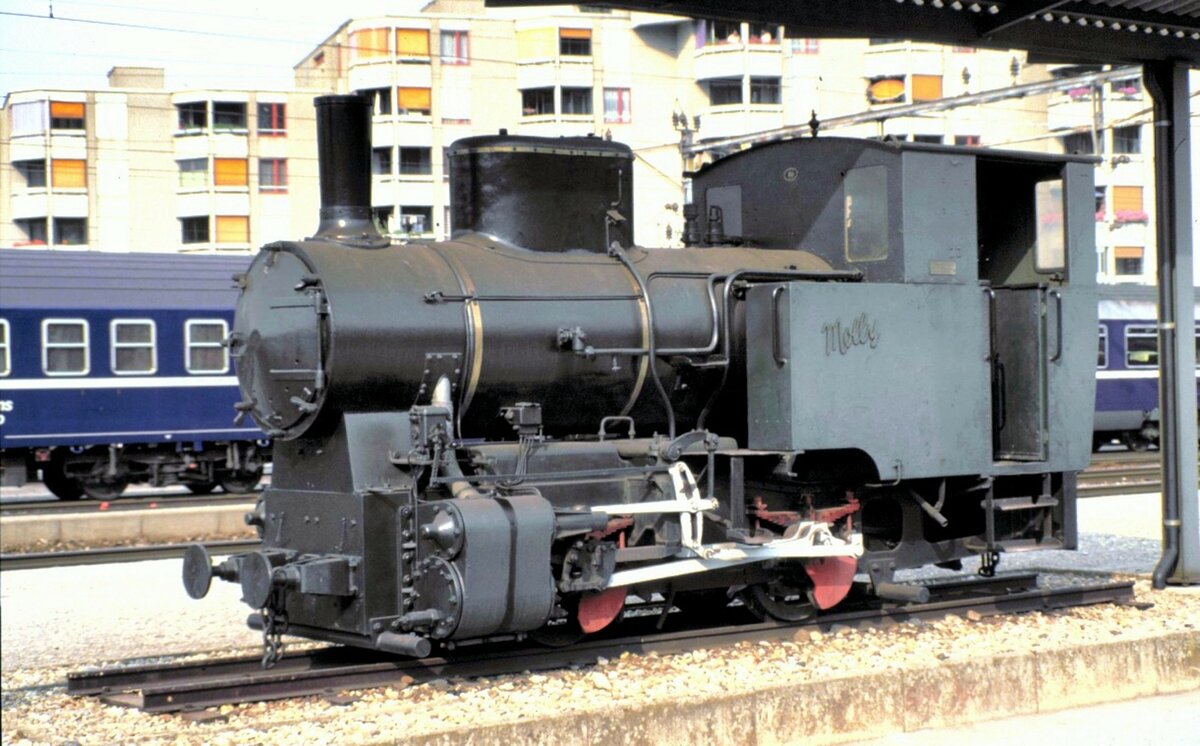 Schmalspur Dampflok Molly 600mm Spurweite in Turgi auf dem Sockel am 18.08.1984. Die Lok geh�rt heute zum fahrenden Material bei der Schinznacher Baumschulenbahn.