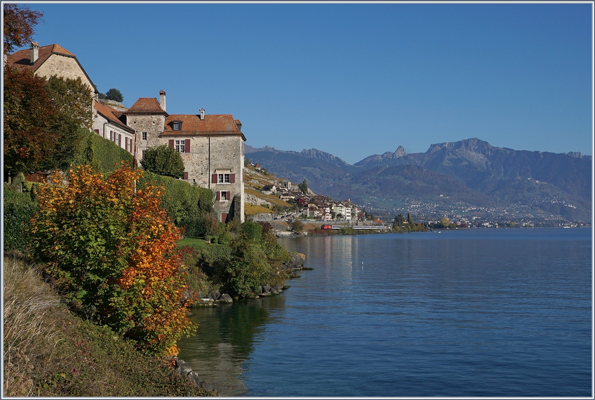 Schon fast ein Zugsuchbild mit der SBB Re 460 und ihrem IR90 zwischen St-Saphorin und Rivaz im herbstlichen Lavaux. 

16. Okt. 2017