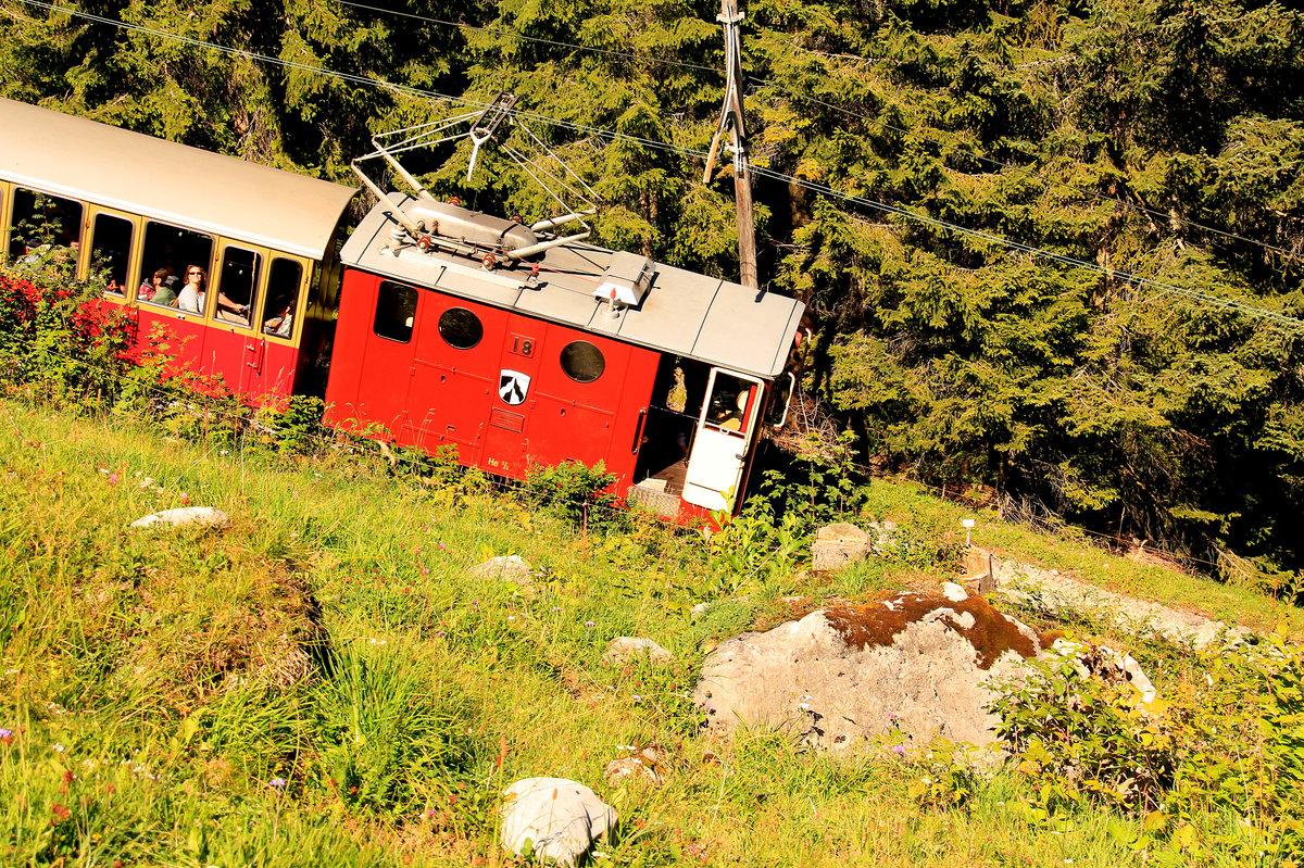 Schynige Platte Bahn: Lok 18 rattert nach Breitlauenen hinauf. 23.August 2016. 