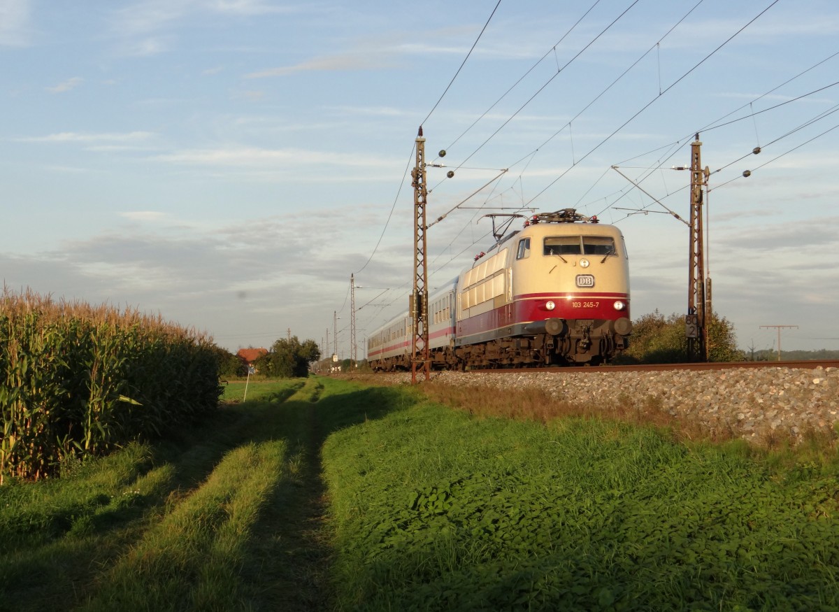 So nun hat es mit der Sonne geklappt. 103 245-7 zu sehen am 26.09.14 in der Abendsonne von Neu-Ulm. 