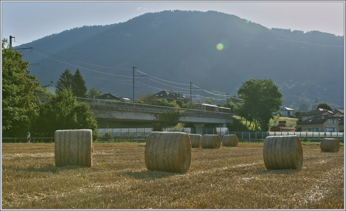 Sommer bei der CEV; im Hintergrund der Les Pleiades, Ziel und Ausgangspunkt der Z�ge..
Bei Hauteville, am 19. Juli 2012