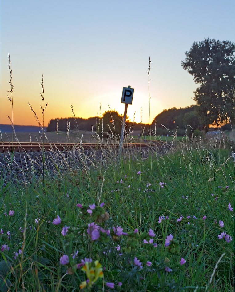 Sonnenuntergang an der Oberwesterwaldbahn (KBS461)... 

Hier am  05.09.2013 bei Hachenburg