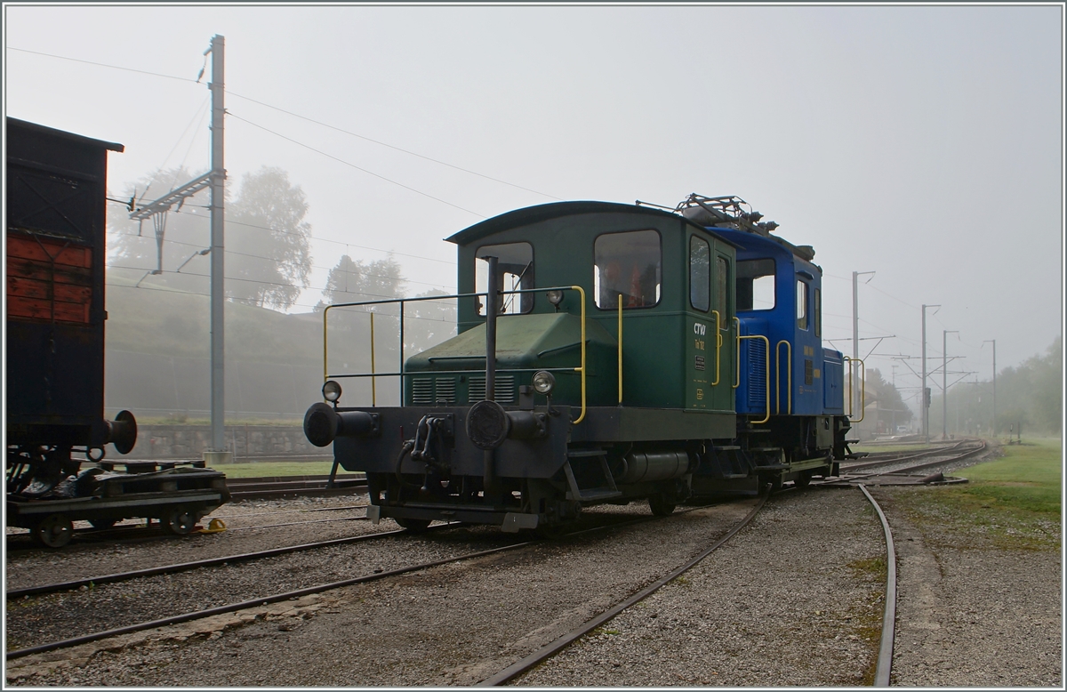 Spitzmaus in Grün und mit UIC Nummer: der CTVJ Tm I 102 (UIC 98 85 5230 320-4) steht in Le Pont. 

5. Sept. 2014