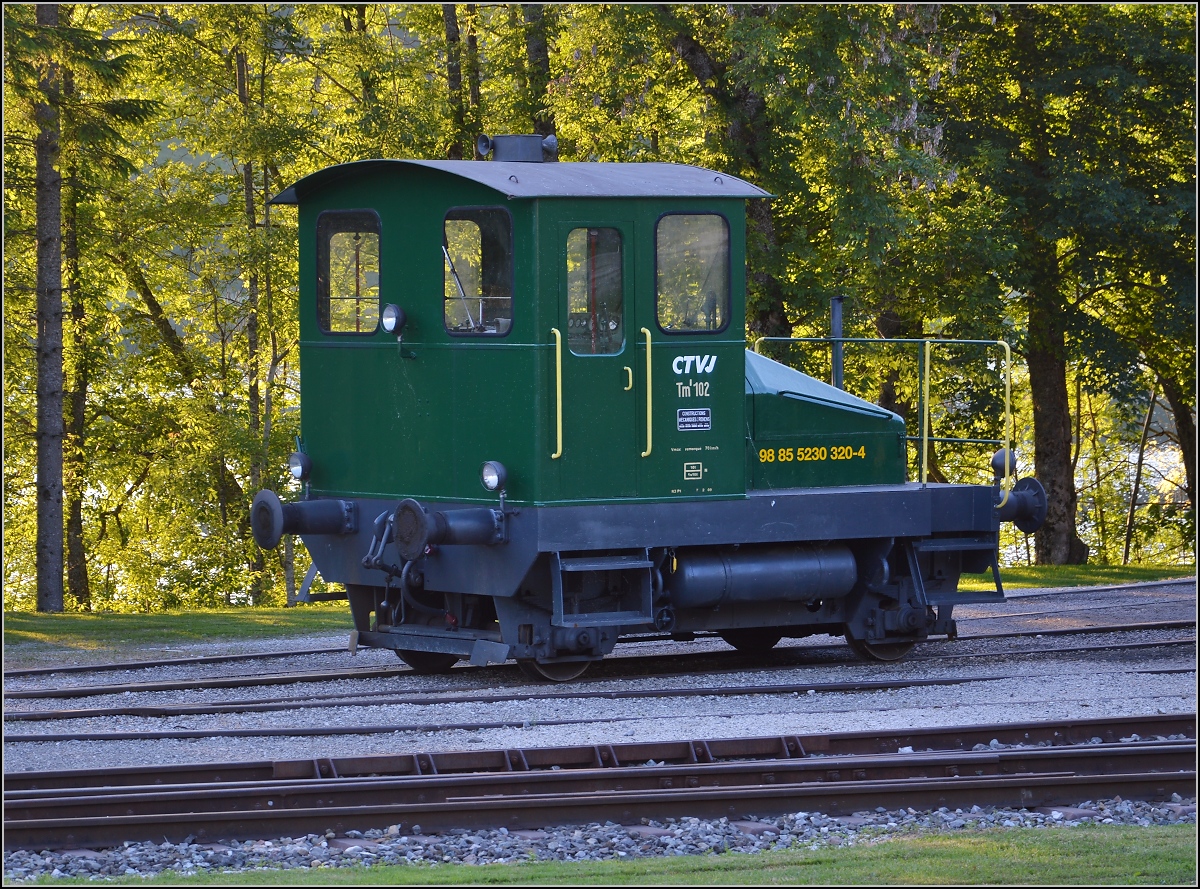 Spitzmaus Tm<sup>I</sup> 102 in Le Pont, heute hört sie auf den Namen Tm 230 320-4. Durch die Abendsonne werden die Blätter der Bäume beleuchtet und verhindert knapp den Blick auf den Lac Brenet. Juli 2016.