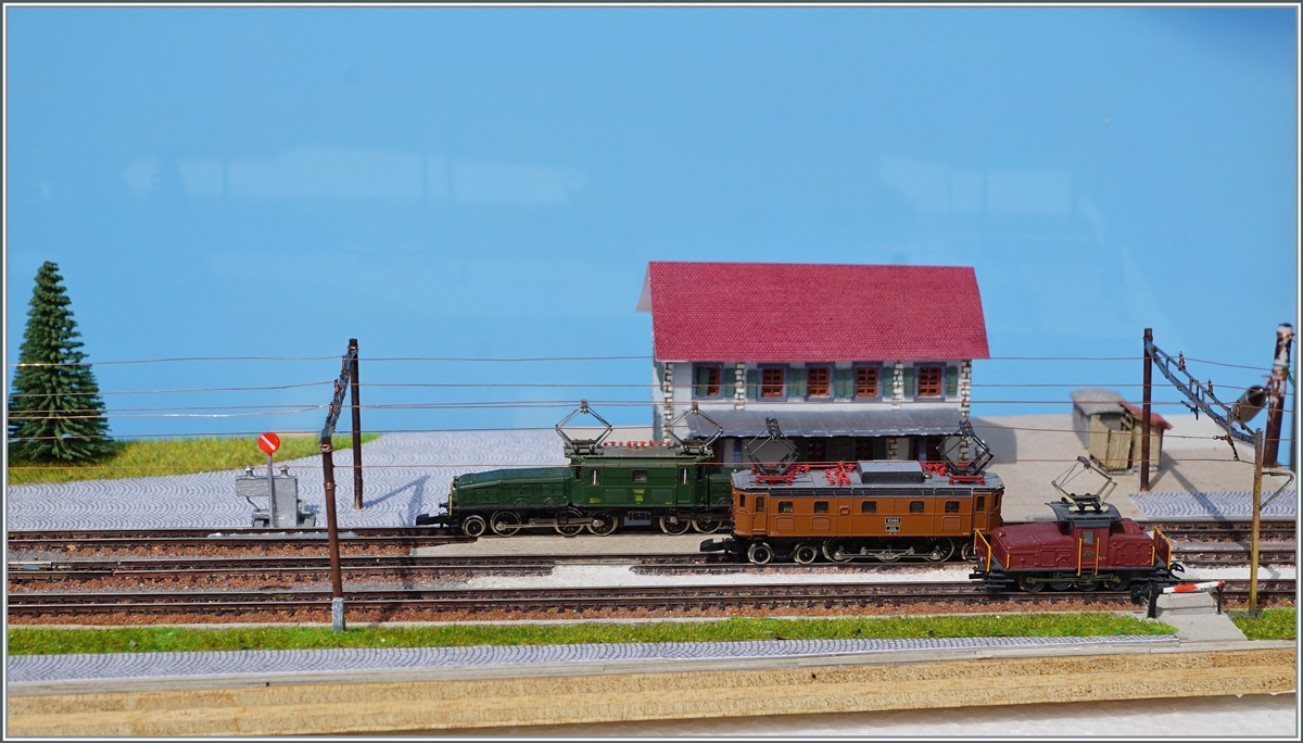 Stanenlok auf meinem Z-Diorama  Büren an der Aare .

26. Juli 2021 